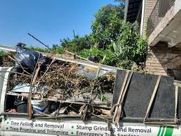 Best Shed Removal  in Lexington, IL