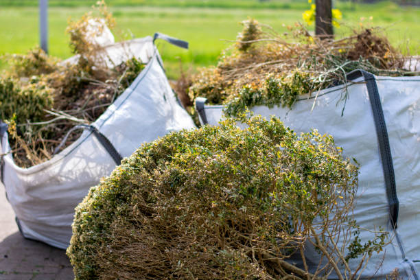 Best Dumpster Rental Services  in Lexington, IL
